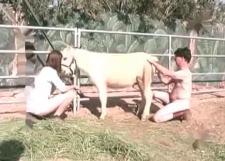 Cute little pony and two zoophile farmers