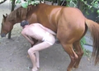 Bald dude gets fucked by a horse