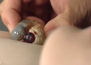 Filthy action with maggots and bugs