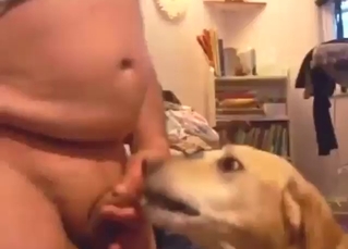 Fat fucking zoophile fucks that dog's hole