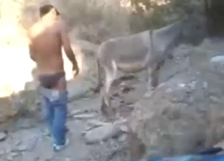 Skinny guy fucks a mule pussy from behind