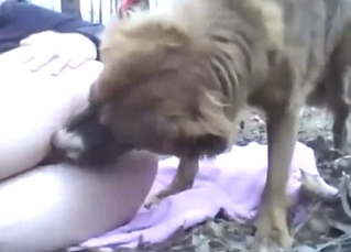 Tight-bodied lady lets this dog eat her out