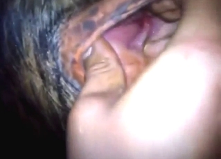 Bull porn movie with the beast taking him inside