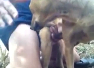 Thai zoo XXX with deep thrusts and legit gape