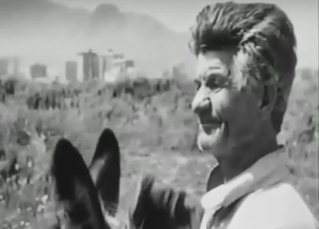 Vintage B&W zoo porn with a donkey taking dick