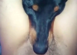 POV zoophile BJ scene with a slutty fucking dog